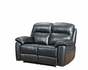 Aston leather 2 seater sofa-0